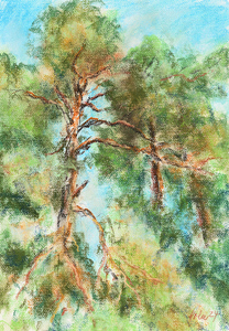 obraz Borovice autor Jan Holec